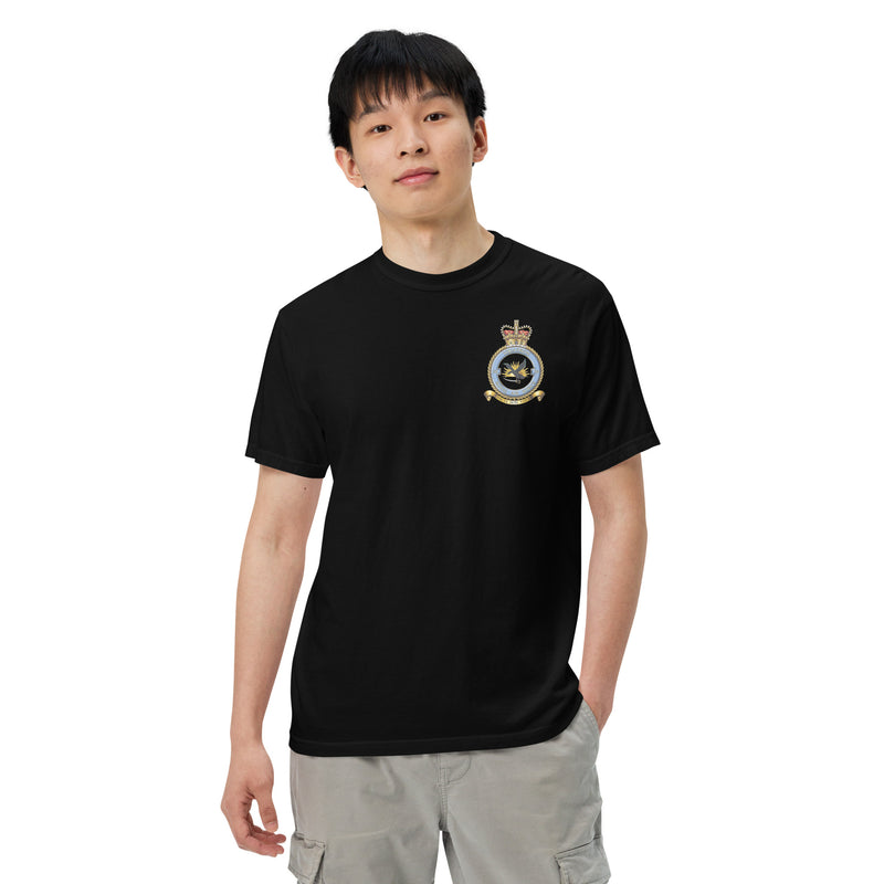 Brandy Give Tilbageholdenhed 20 Squadron, Royal Air Force t-shirt – ROKiT Gear