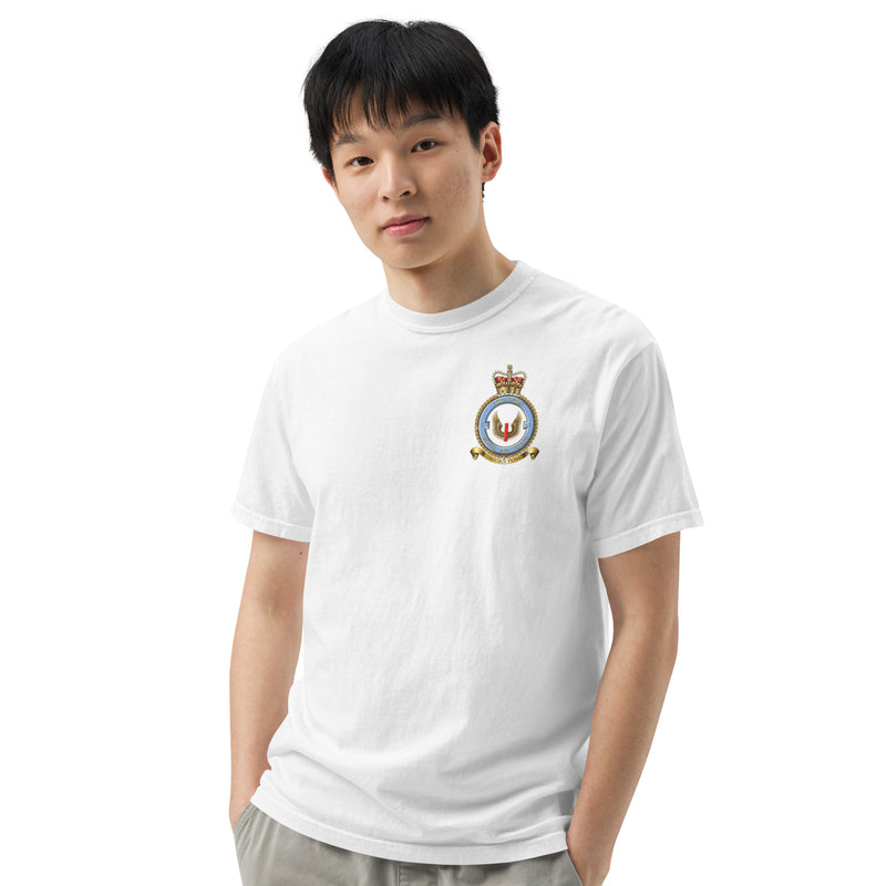 1 (F) Squadron Royal Air Force t-shirt
